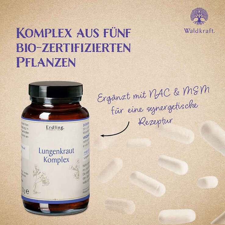Lungenkraut Komplex MSM NAC vegan Kapseln Erdling, 120 St