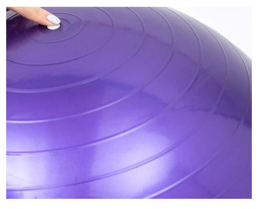 Swiss Ball Ballon de Fitness Gymnastique pour Pilates Yoga Renforcement du Dos avec Pompe Ballon - Bleu Diamètre 65 cm Taille S