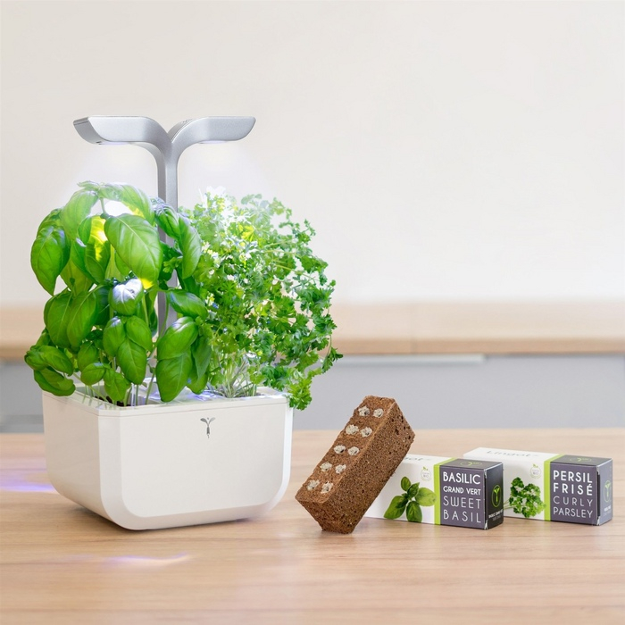 (2-fach) Exky Smart Kräutergarten Indoor Gemüse Beet Blumen Anzucht mit LED Beleuchtung / Wassertank (VEXK-SAWAS-FR-40) - Arctic White