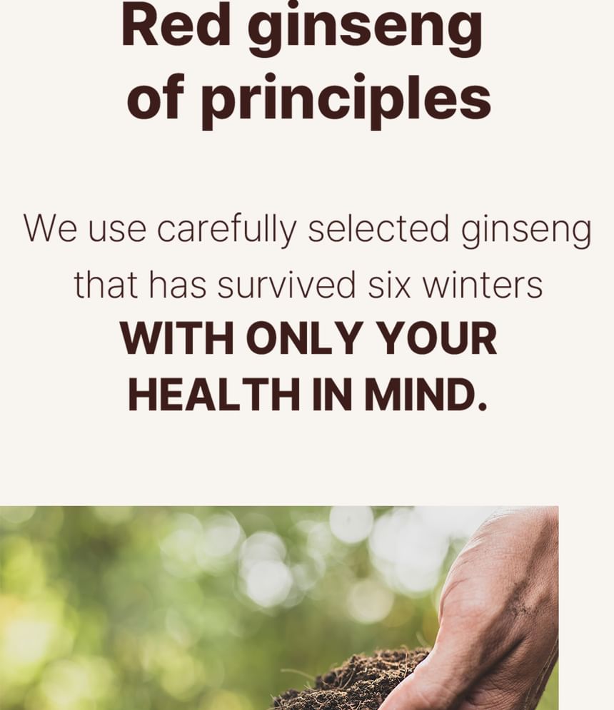 JUNGWONSAM - 6 jaar Koreaanse rode ginseng-extract 365 Stick Energy