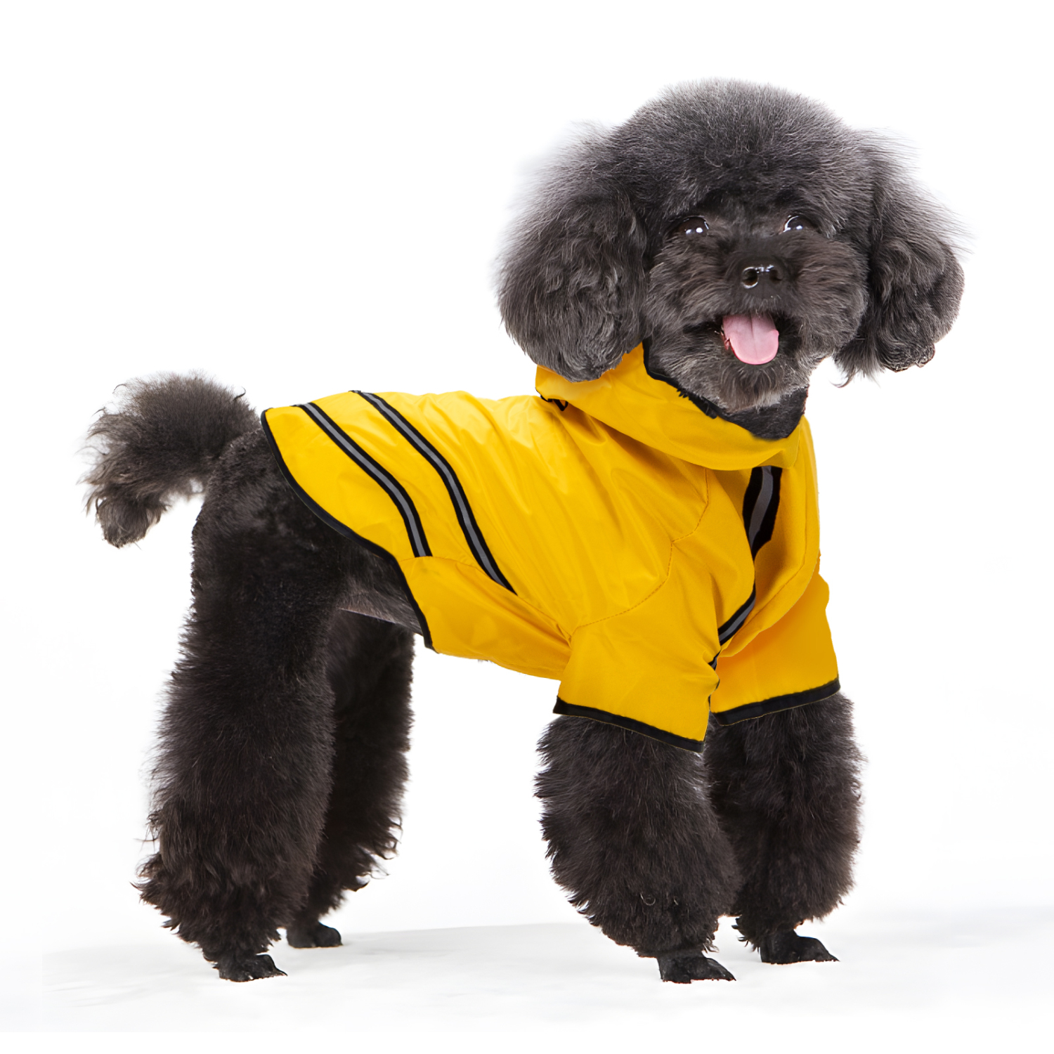 Capa de chuva impermeável para cães Nobleza com capuz e faixas refletoras de segurança, amarela, tamanho G