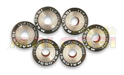 Galets de variateur Malossi Jeu de 19x17mm 10gr - 6 pièces
