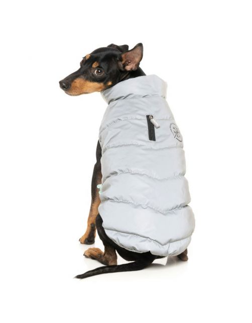 Fuzzyard Hakuba Jacket Reflecterend - Hondenkleding