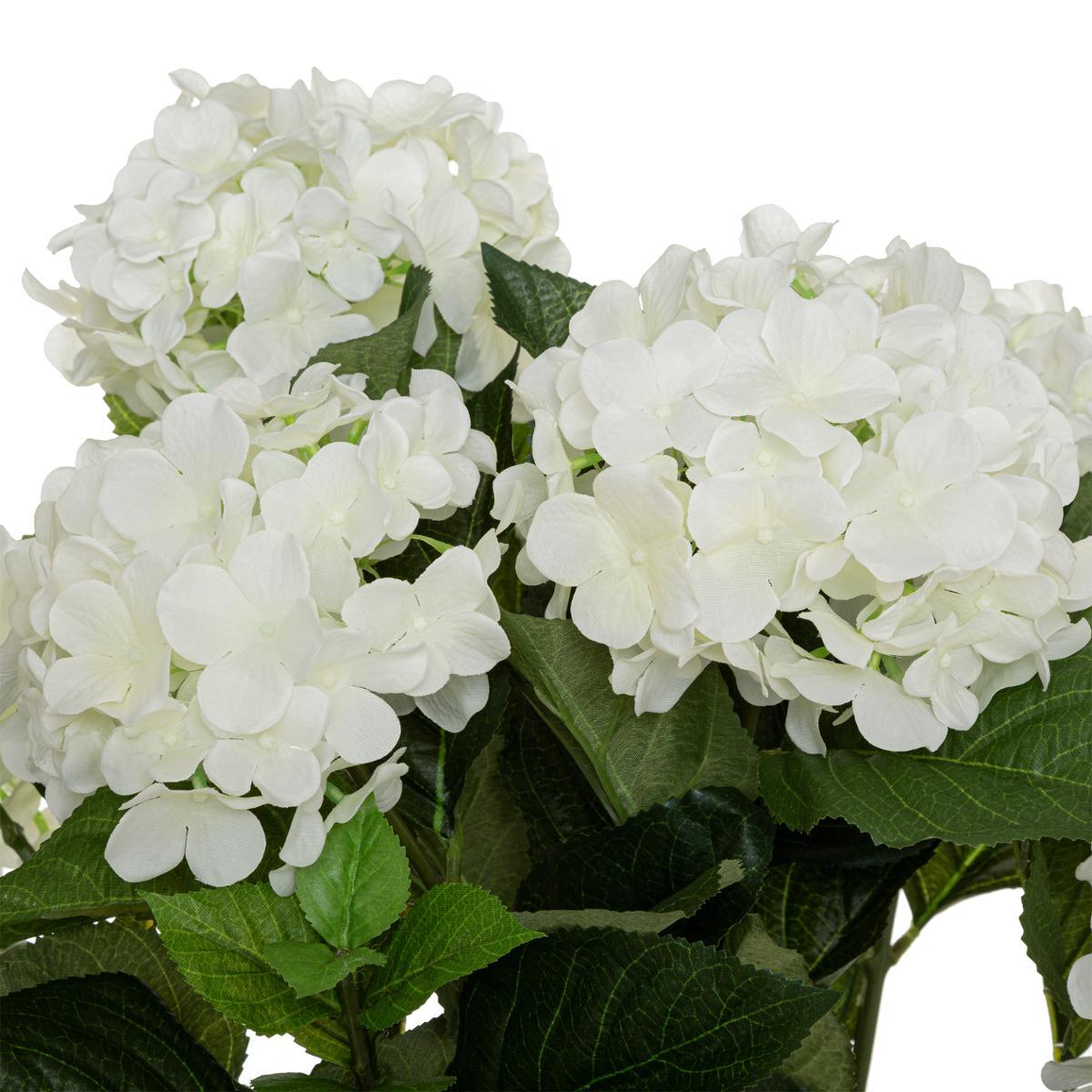 HORTENSIA H.60CM