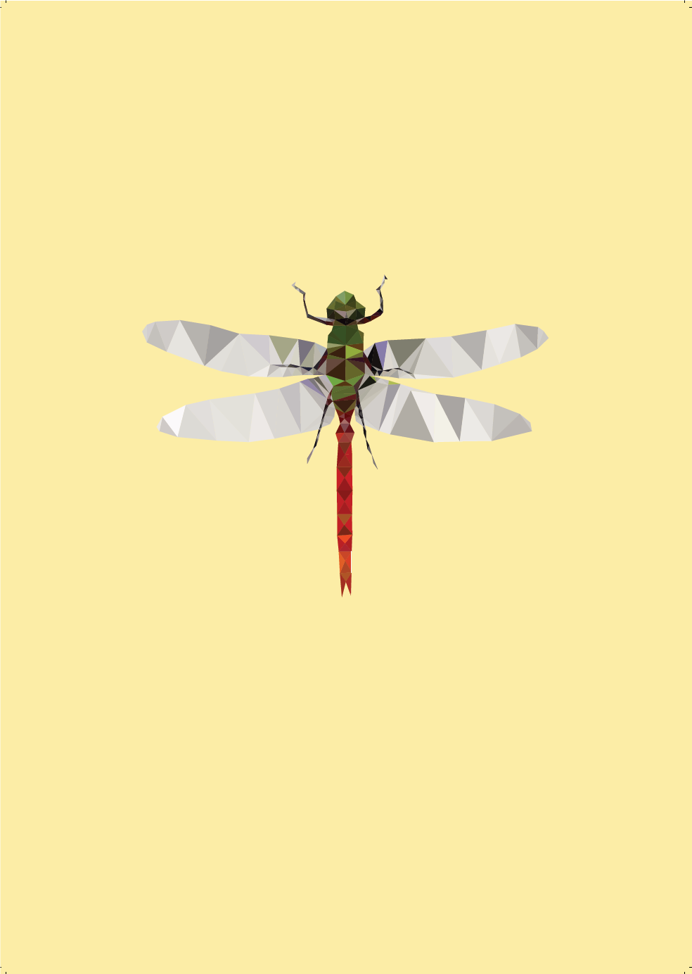 Poster Libelle 40 x 50 cm