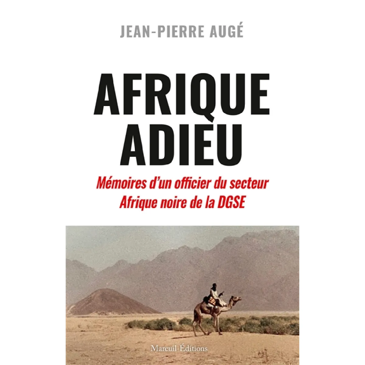 Afrique adieu : au crépuscule de la France-Afrique : mémoires d'un officier du secteur Afrique noire de la DGSE
