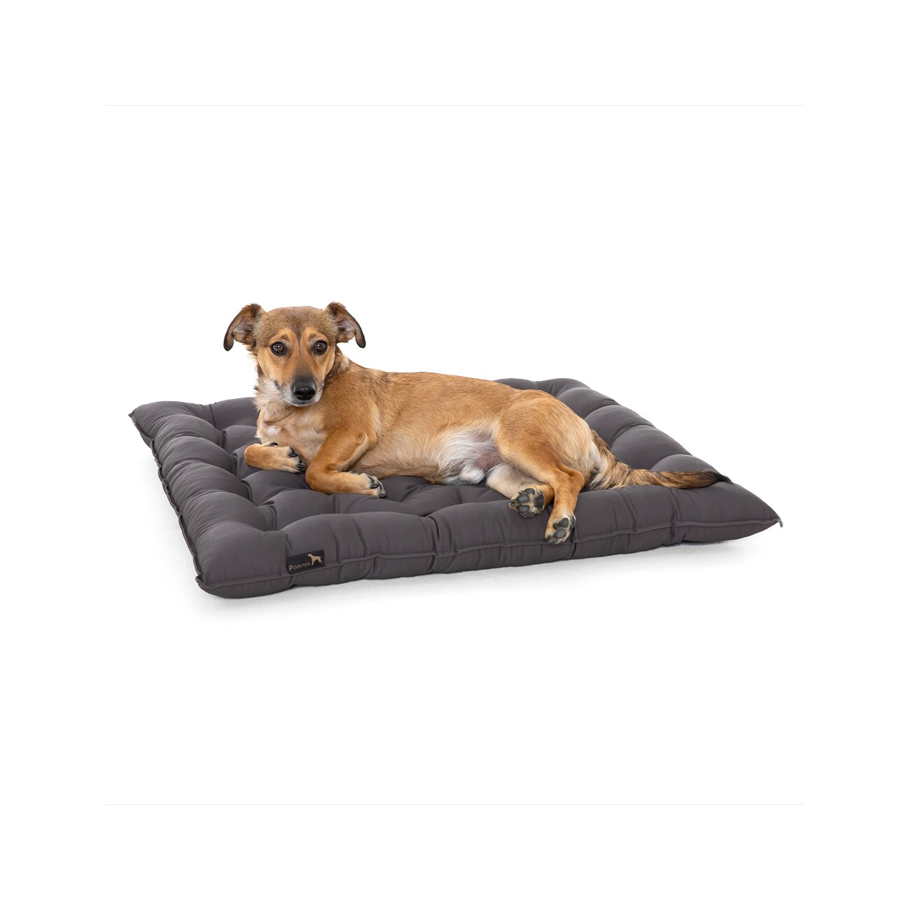 Doctor Bark Pointer Urban Kissen grau M