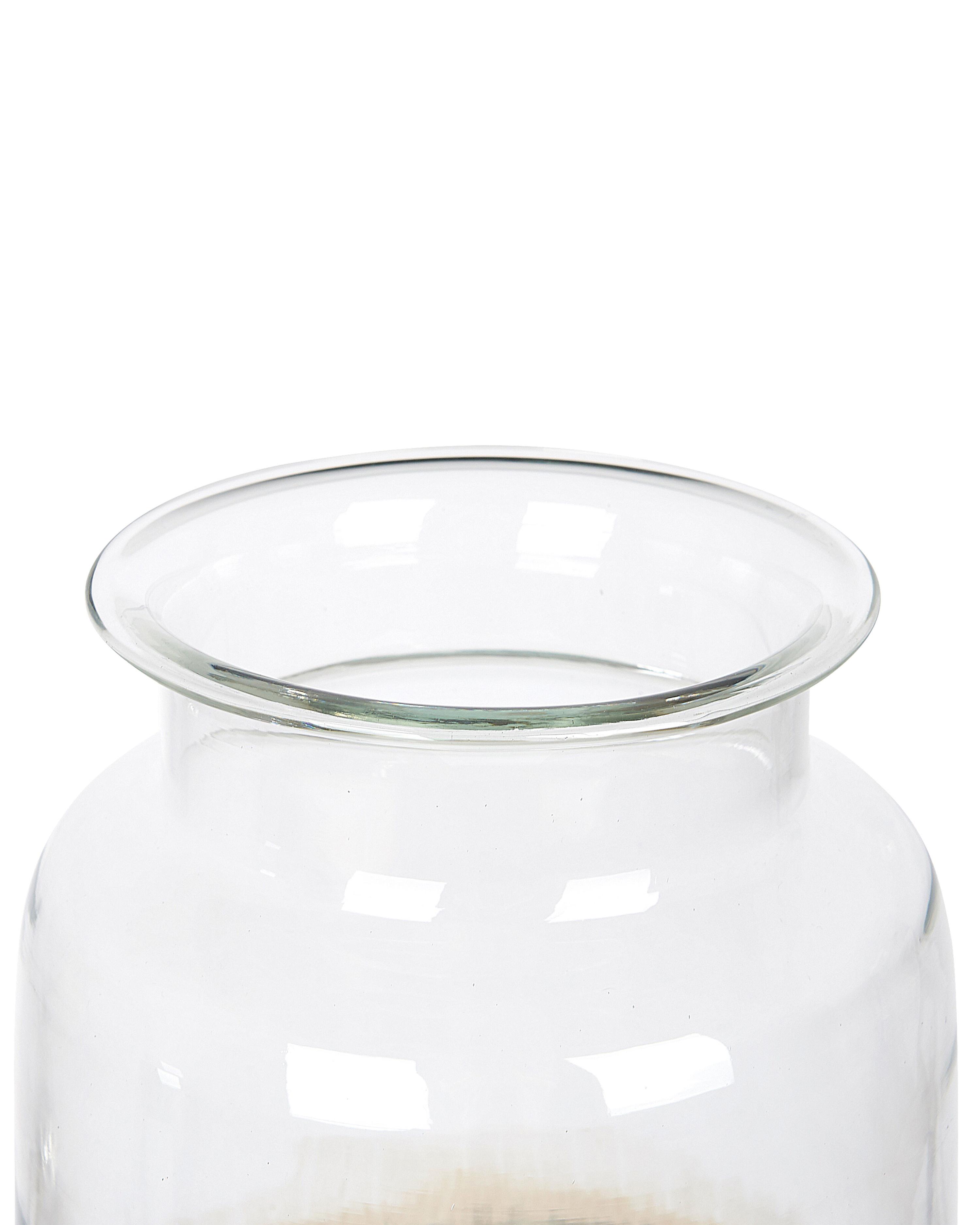 Bloemenvaas BHATURE Glas 30 cm Meerkleurig