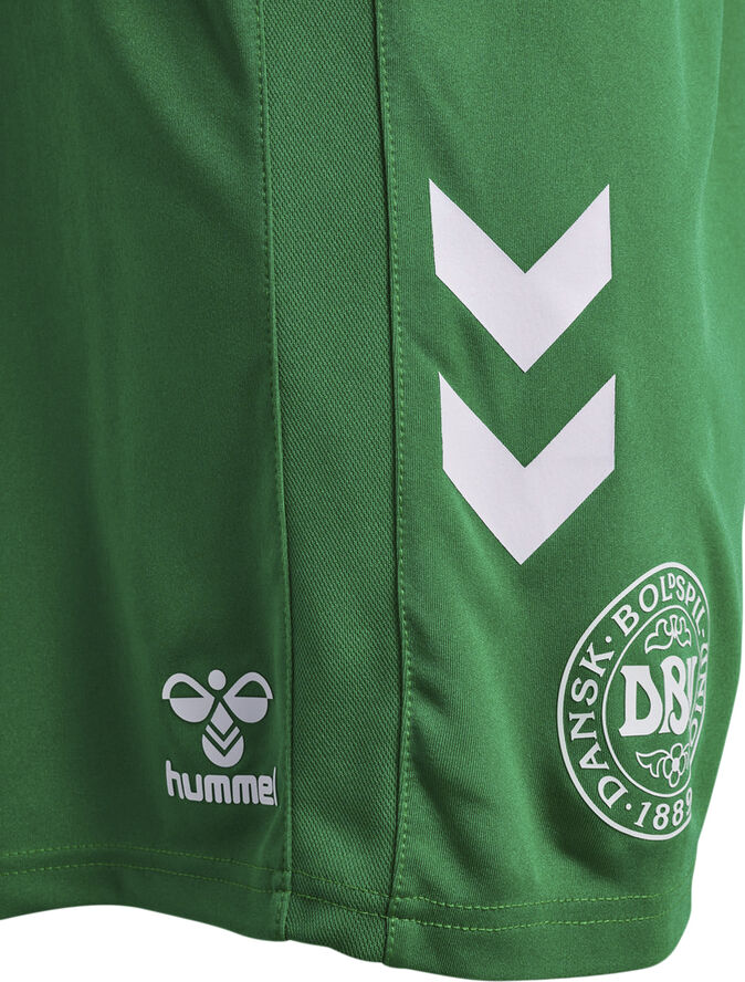 Hummel DBU Danmark 24 Målmandsshorts Grøn