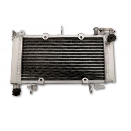 Radiateur Brazoline A EAU ADAPTABLE