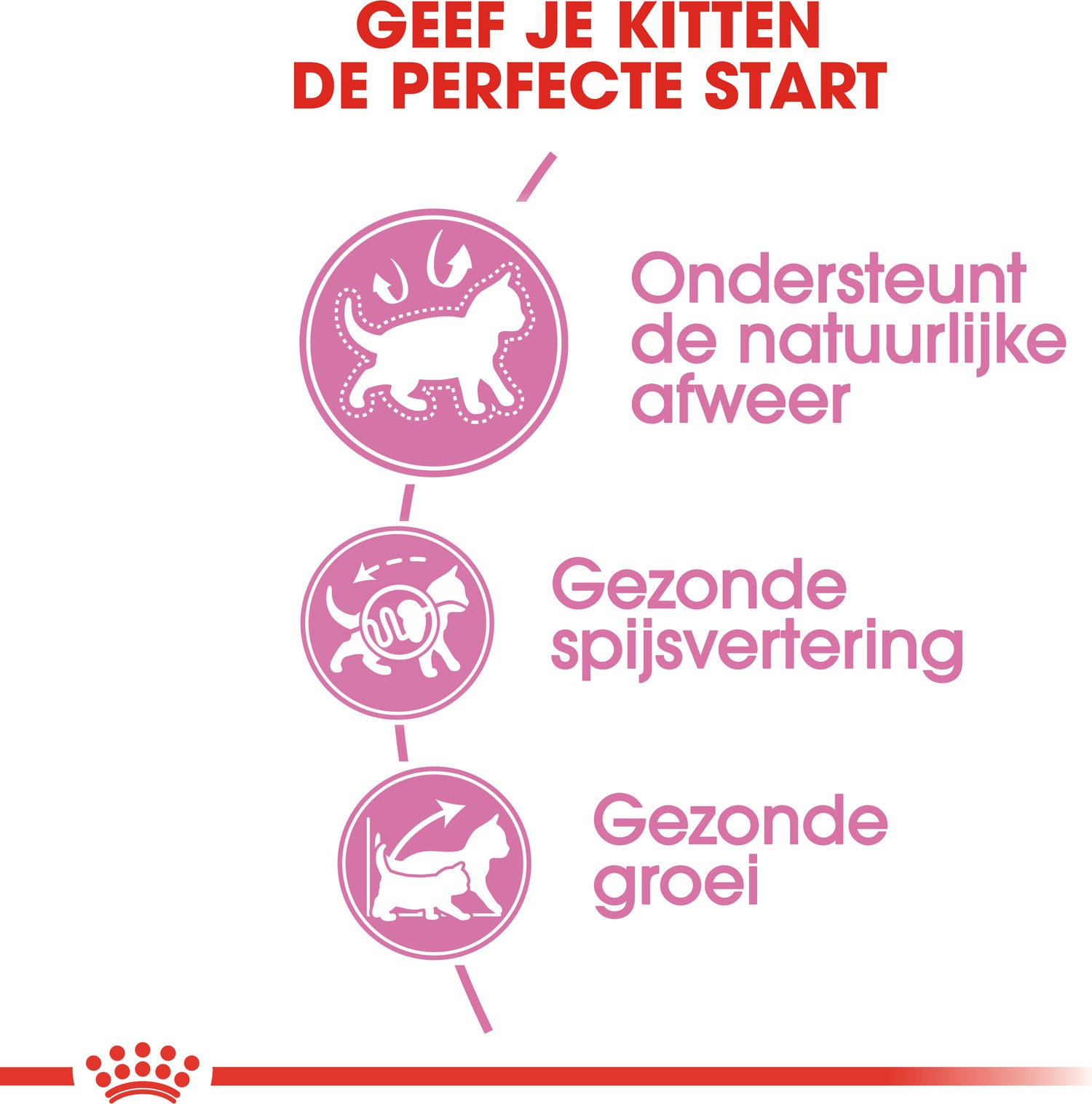 Royal Canin kattenvoer kitten 4 kg
