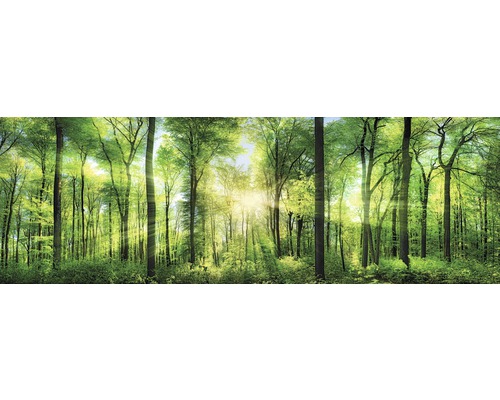 Canvasprint Fris Groen 150x50 cm