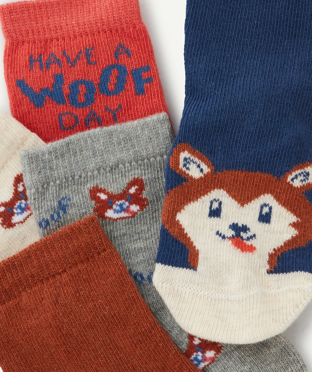 LOT DE 5 CHAUSSETTES BÉBÉ GARÇON THÈME CHIEN