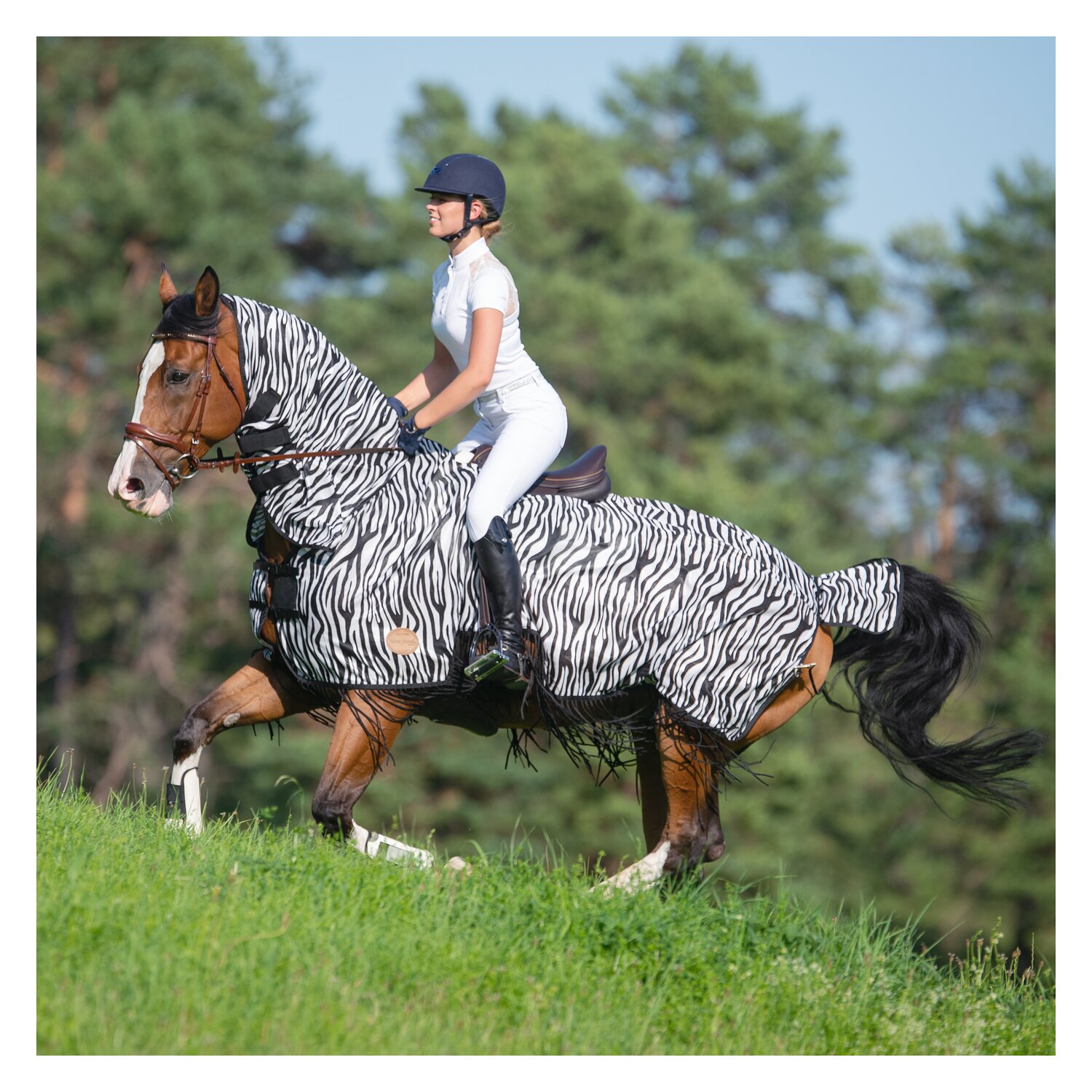 Horse-friends Ausreitdecke Moers mit Fransen  - zebra