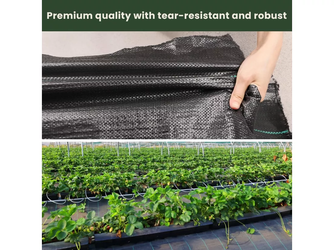 Membrane de contrôle des mauvaises herbes pour serre - toile anti mauvaises herbes 100 g/m² - indéchirable perméable à l'eau - 2x10M