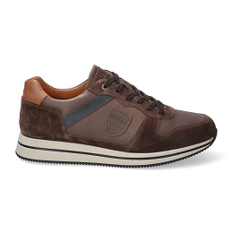 greg  VELSPORT 3651/ra. 6151/6145/6135  DARK BROWN