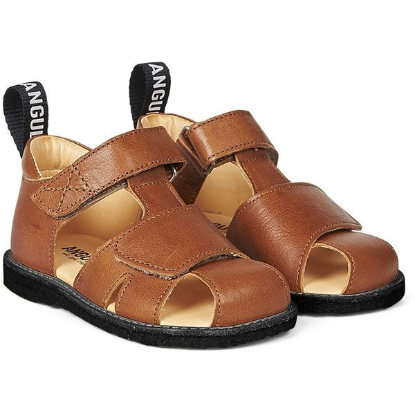 Køb Angulus Begyndersandal M. Velcrolukning Cognac