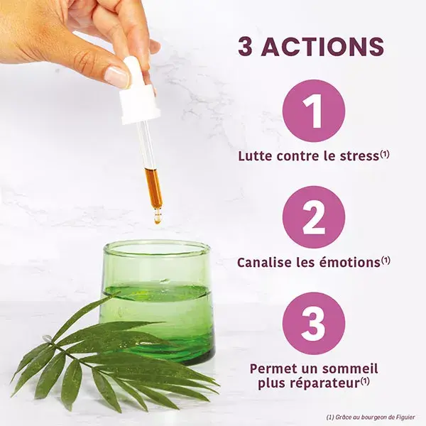Santarome Bio - Bourgeon Figuier Bio - Gémmothérapie - Flacon de 30ml