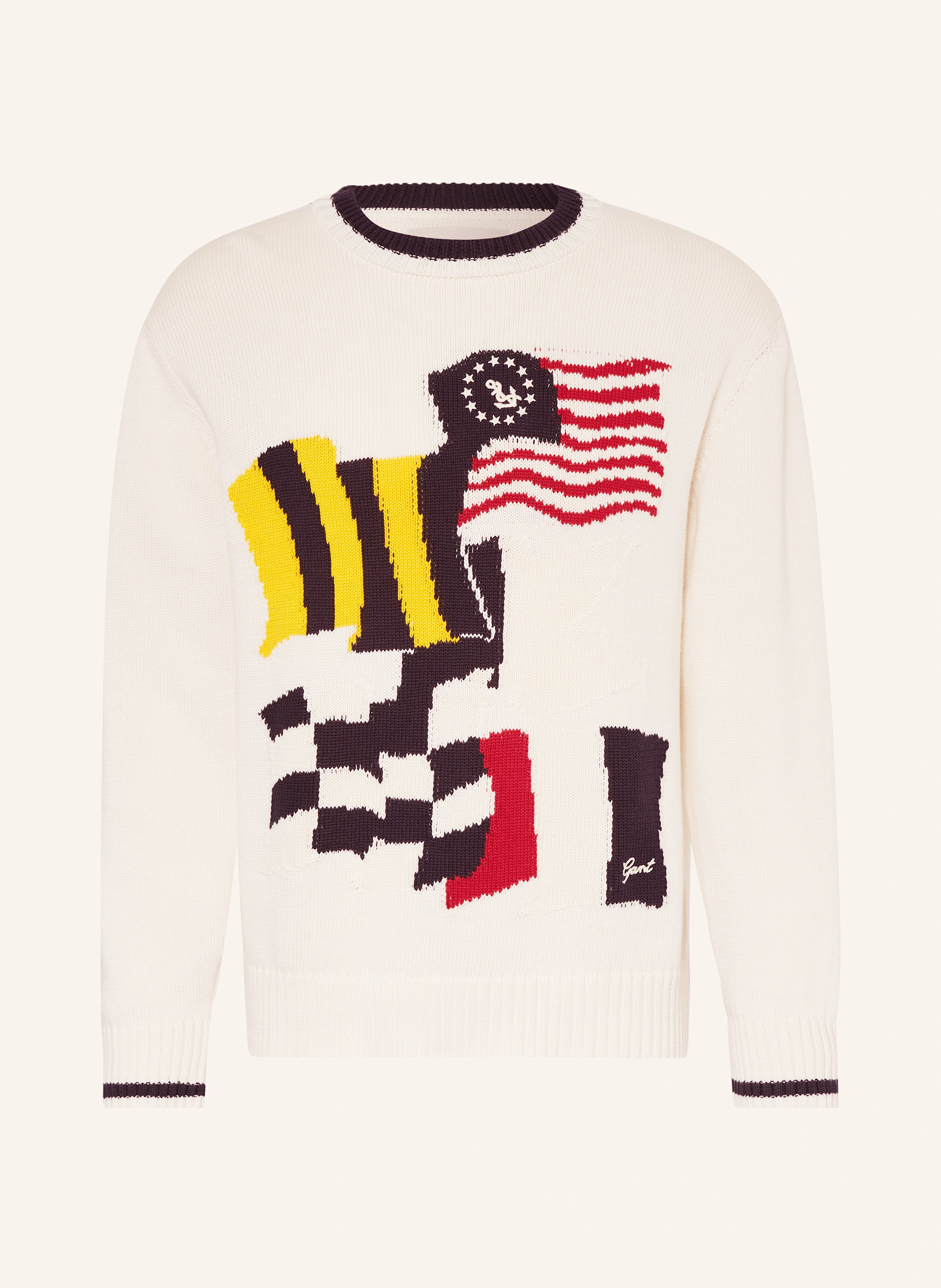 GANT Pullover