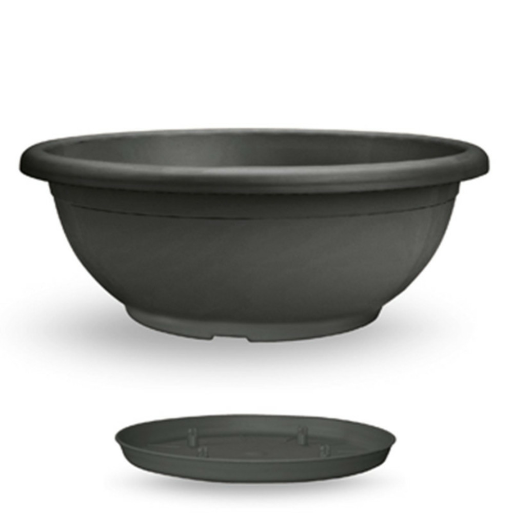 Coupe de fleurs naxos 80cm avec soucoupe