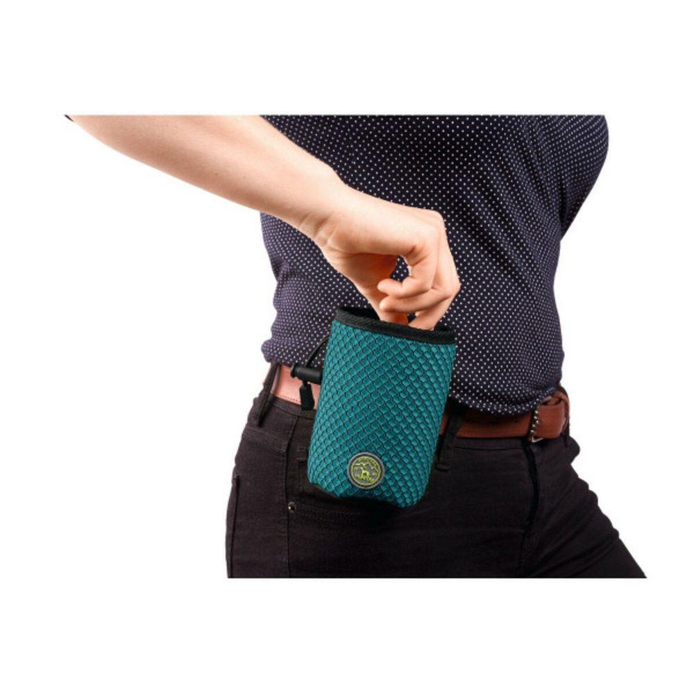 Coffret basic textile idéal pour les aliments et les récompenses des animaux de compagnie turquoise