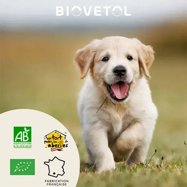 Biovetol - Suplemento Orgânico Protect'Immun em Pó para Cães de Pequeno Porte <10kg - 30g