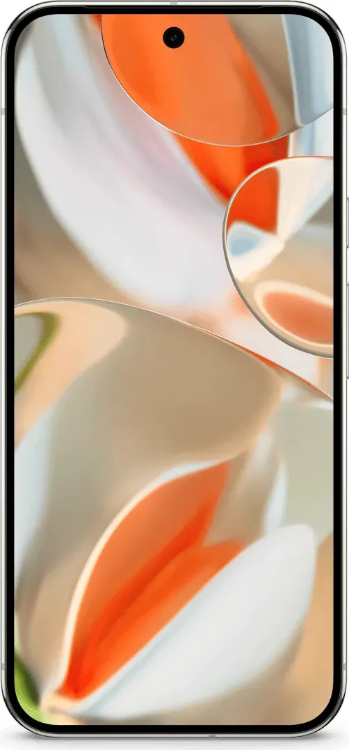 Google Pixel 9 Pro XL