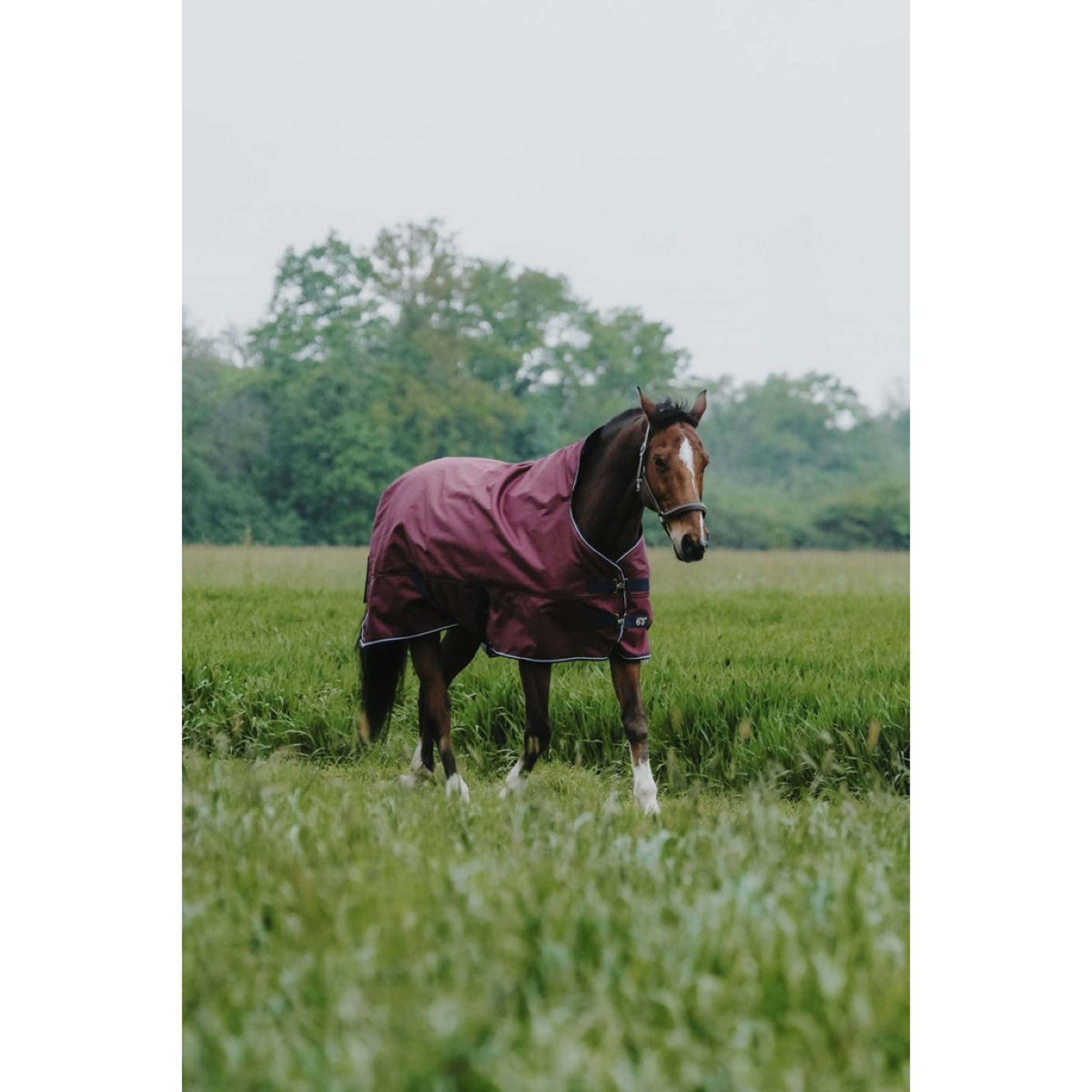 EQUITHÈME Outdoordeken Tyrex 1200D 300g High Neck Burgundy