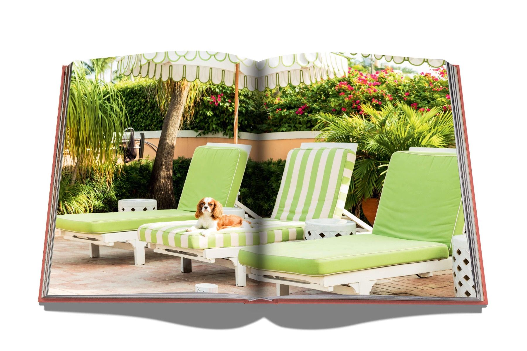 Assouline Palm Beach