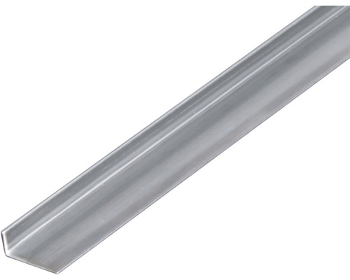 RVS hoekprofiel 20x10x1,5 mm, 2 m