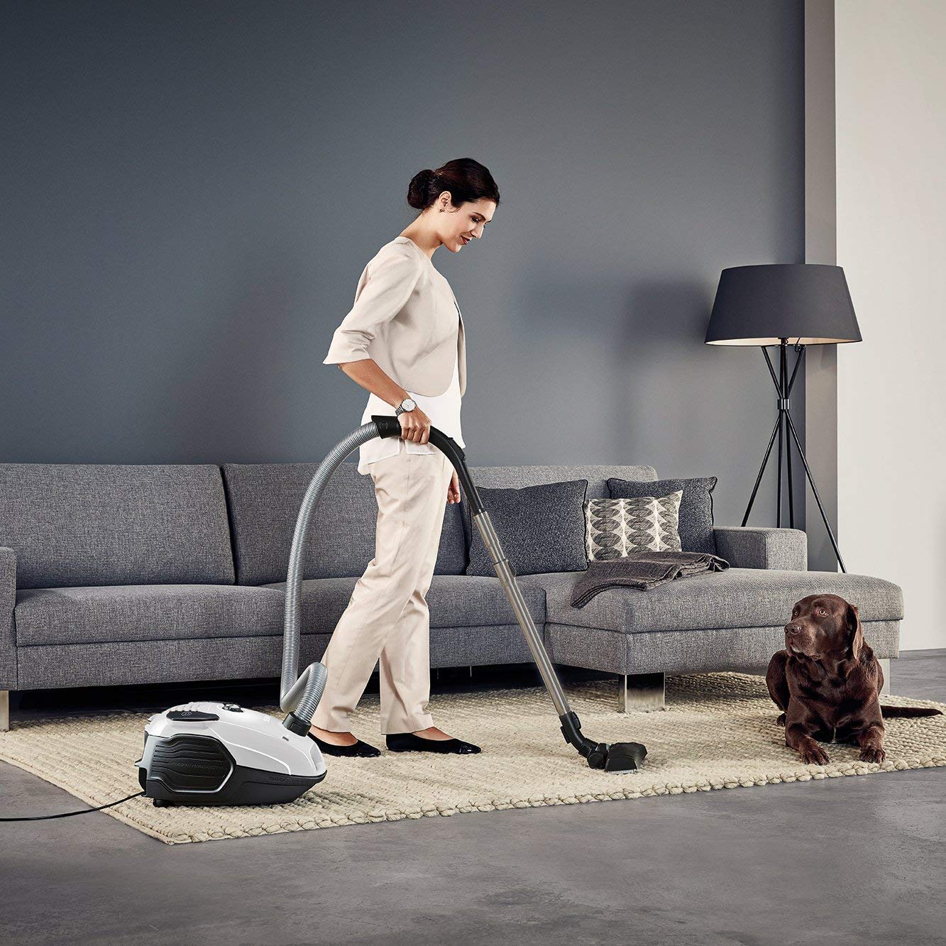 AEG VX6-2 Vacuum cleaner