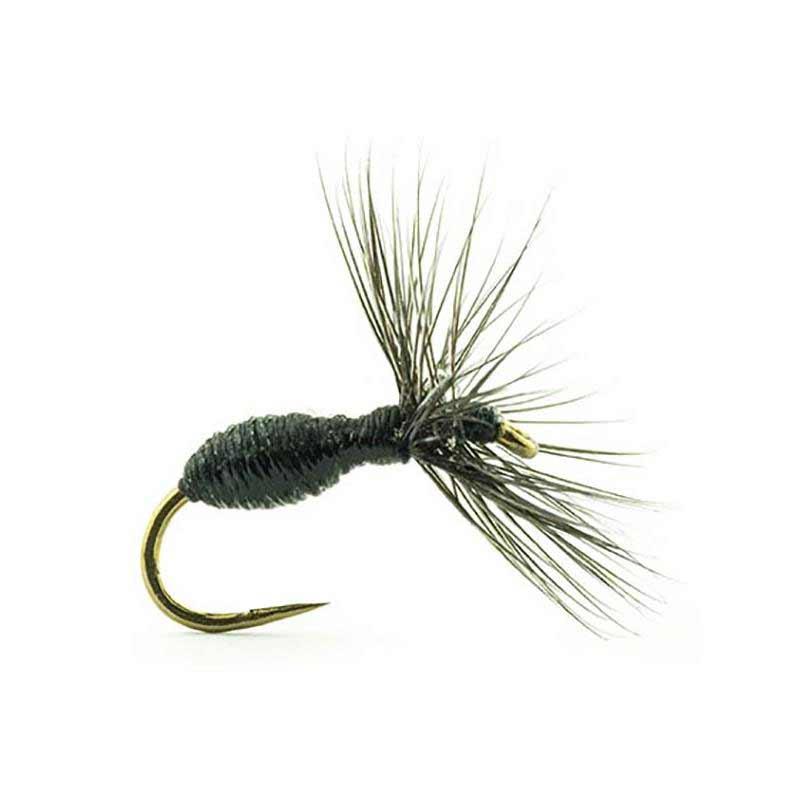 Mouche Devaux Terrestre 527 Bl