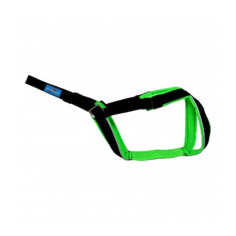 Open Back - Harnais pour chien