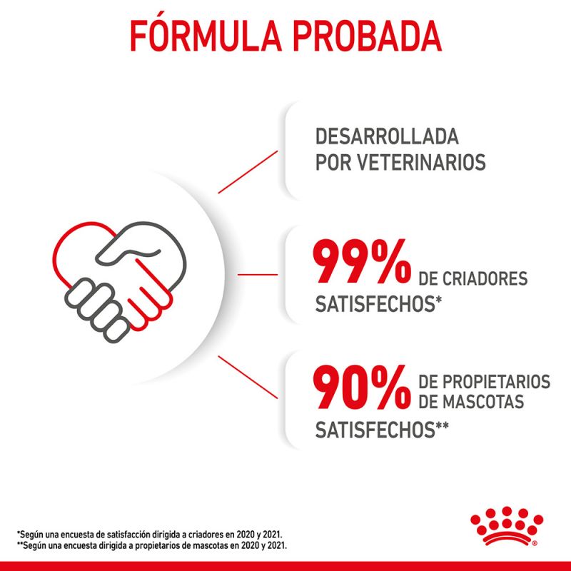 Ração para gatos Royal Canin Kitten
