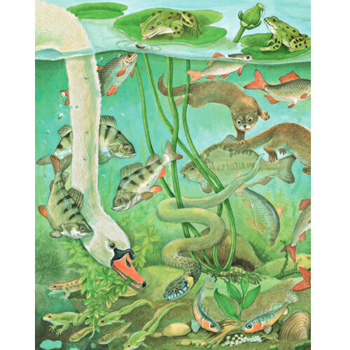 Uitgeverij deltas kijk- en zoekboek bij het water