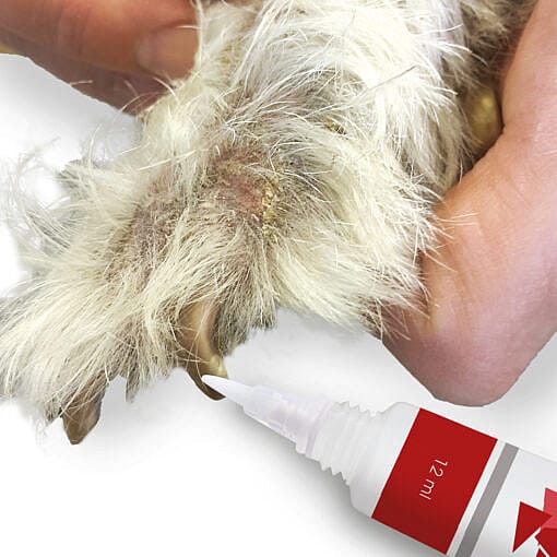 Maxani PyoMax Brush Hond Kat Paard 12 ml | 12749