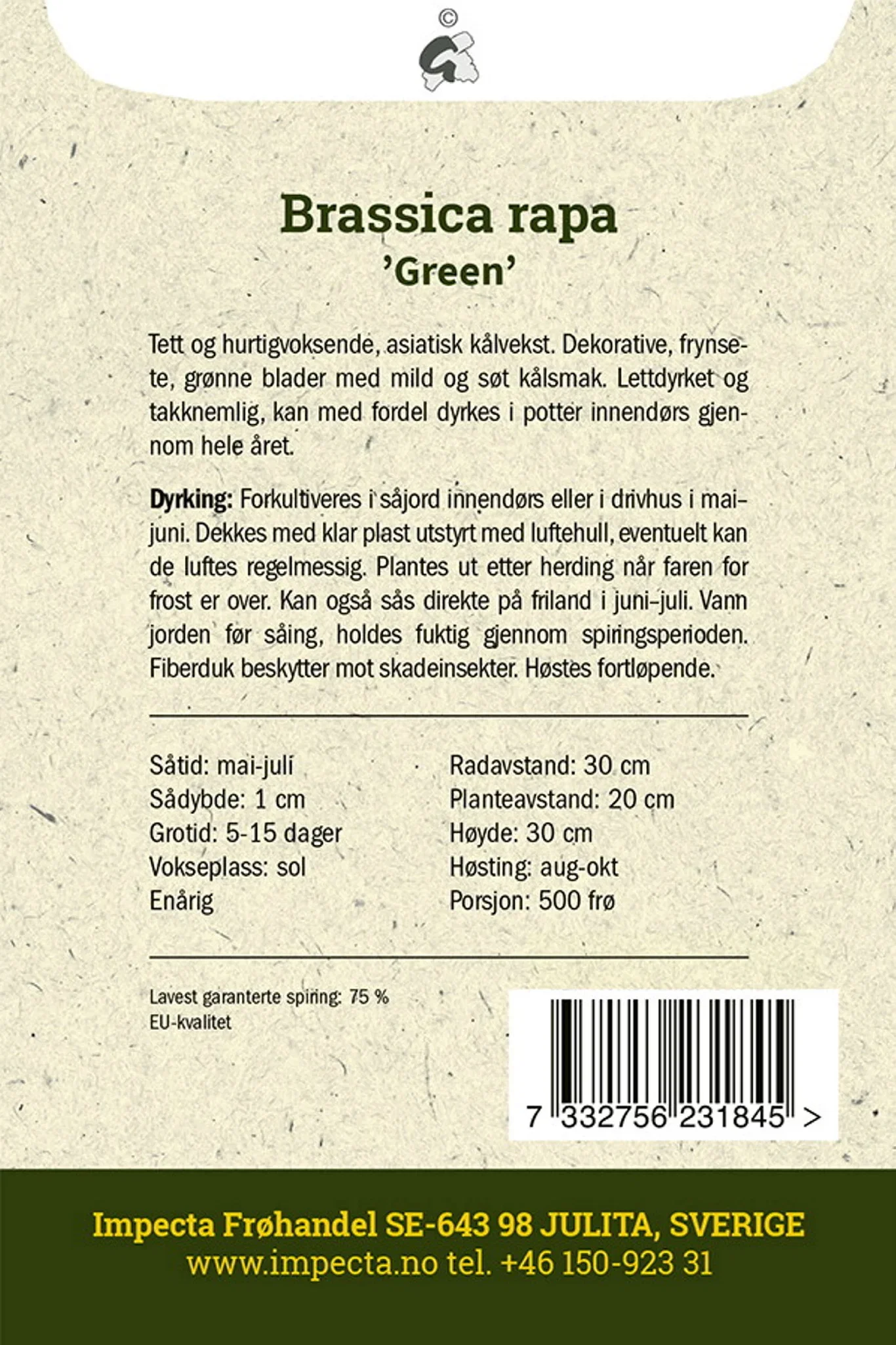 Brassica rapa 'Green' Mizunakål 'Green'