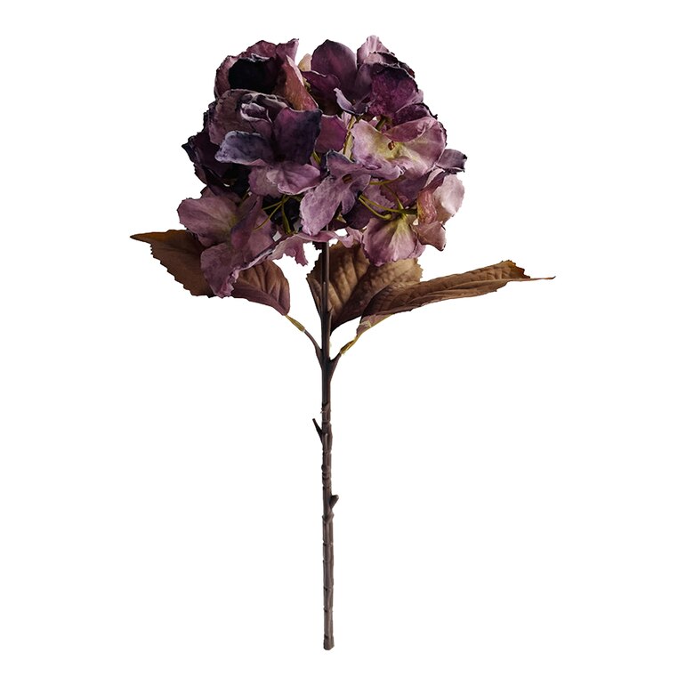 beere, L 48 cm