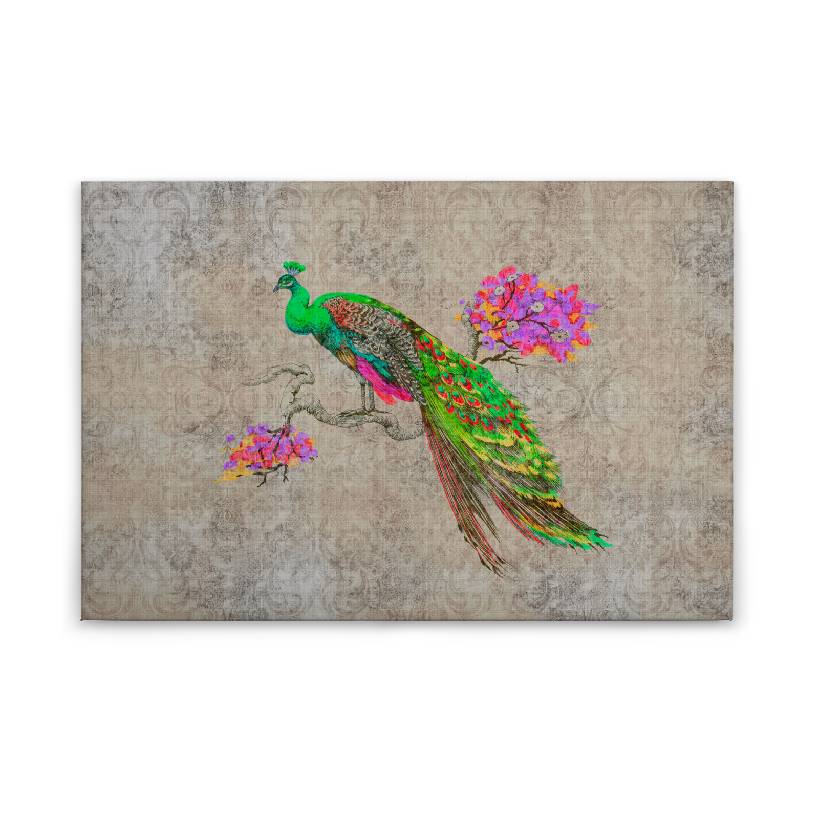 Leinwandbild PFAU - grün-pink - 90x60 cm
