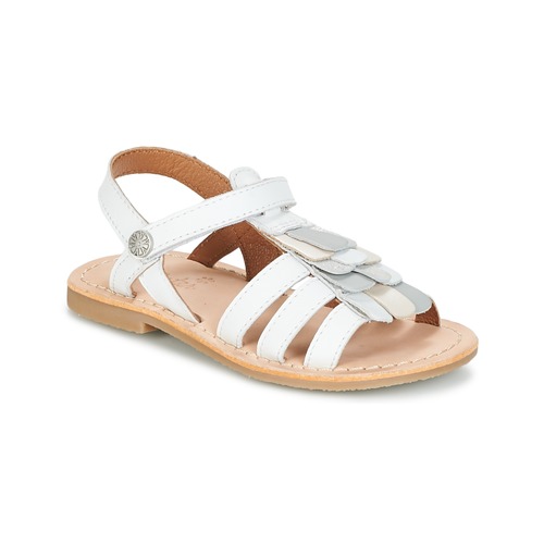 Aster - CORELLE - Blanc