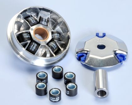 Variateur Polini