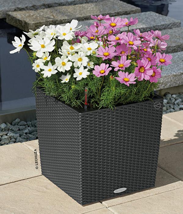LECHUZA® Kunststoff-Topf Cube Cottage,