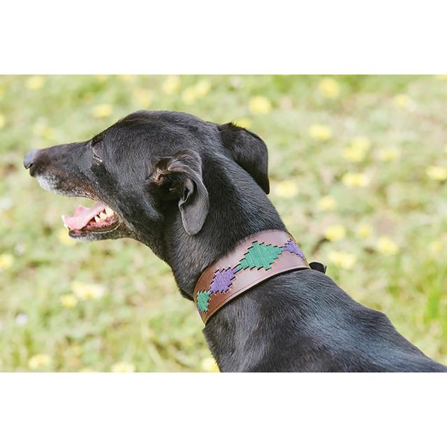 Halsband WeatherBeeta Lurcher