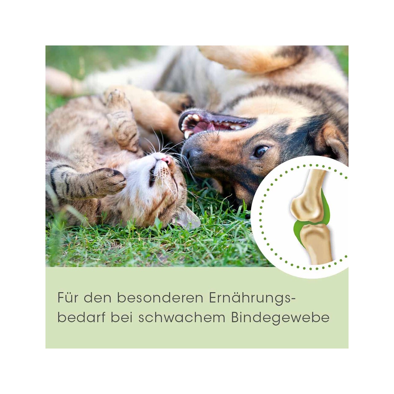 cdVet ArthroGreen Collagen 130 g