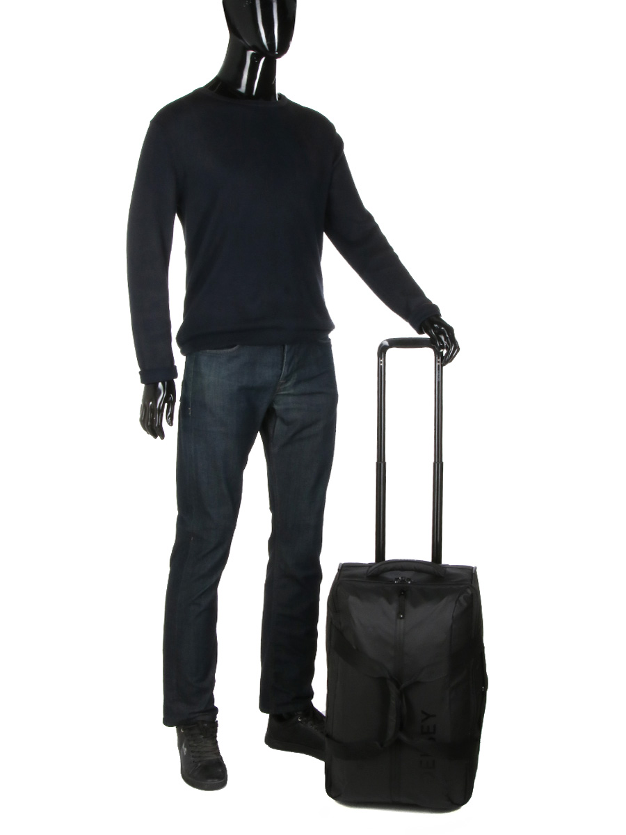 Sac de voyage trolley Delsey Egoa WP 53.5 cm