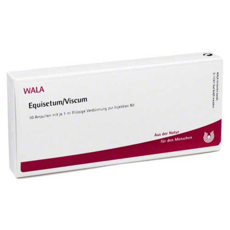Equisetum / Viscum Ampullen, 10X1 ml