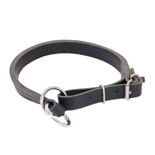Collier en cuir pour chien