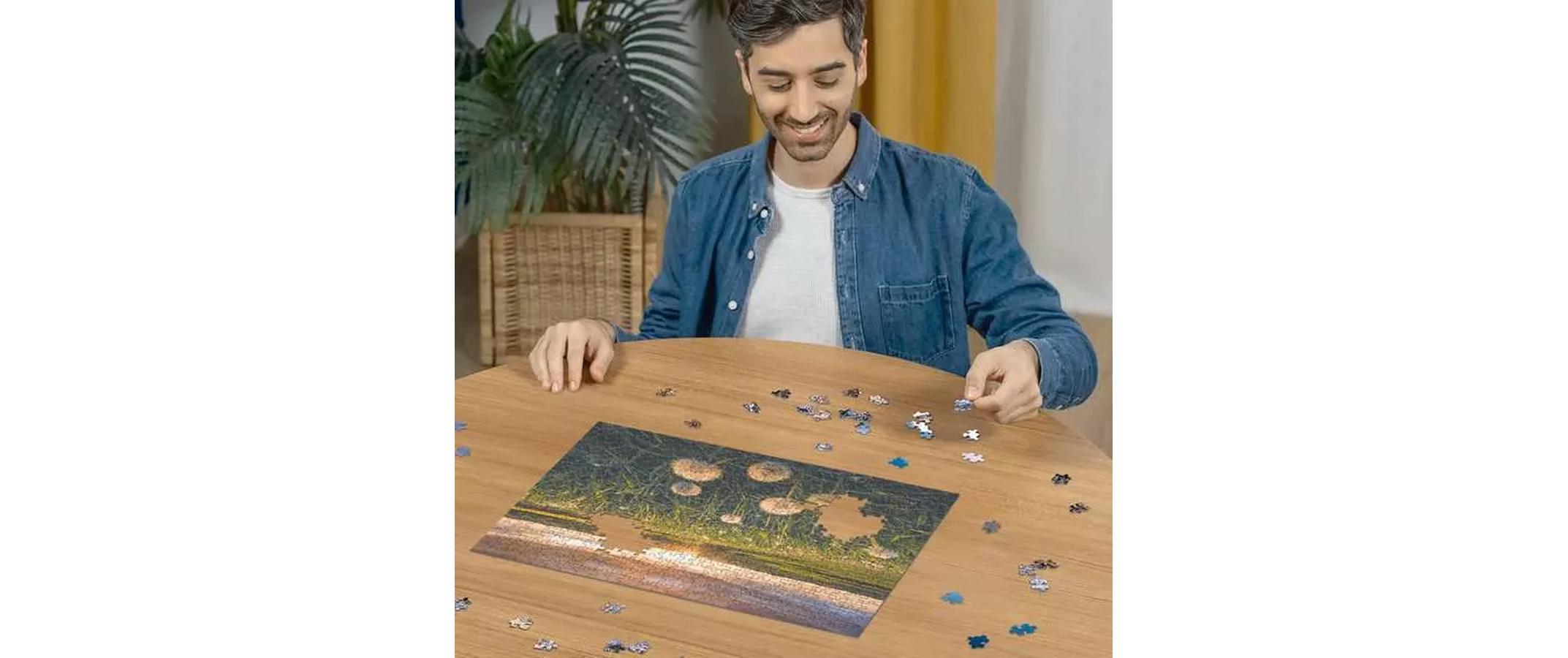 Puzzle Pusteblumen im Sonnenuntergang 500 TeileKlassisches Puzzlespiel mit Premium-Qualität