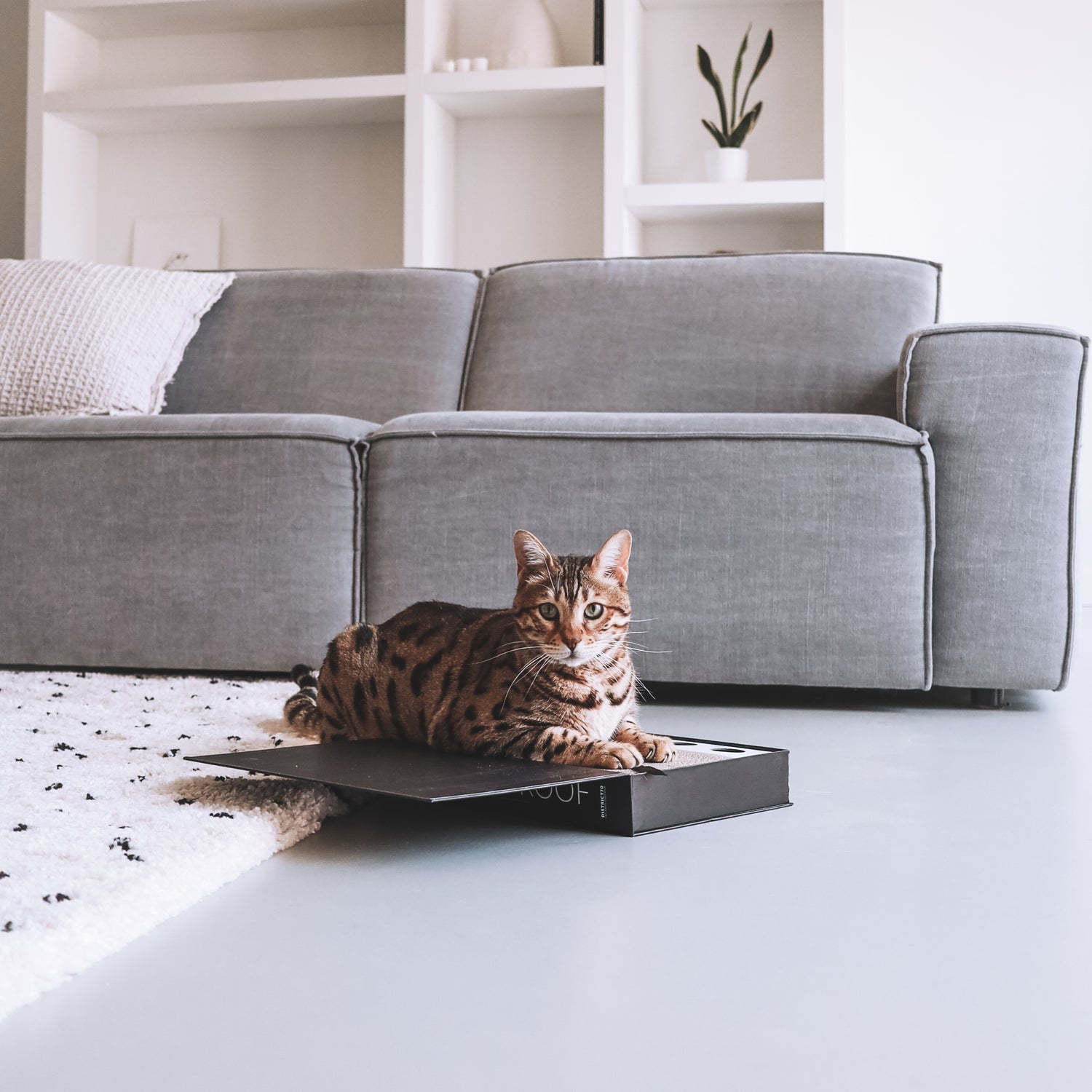 District 70 krabkarton Caterio boek zwart 36 x 25 x 6 cm