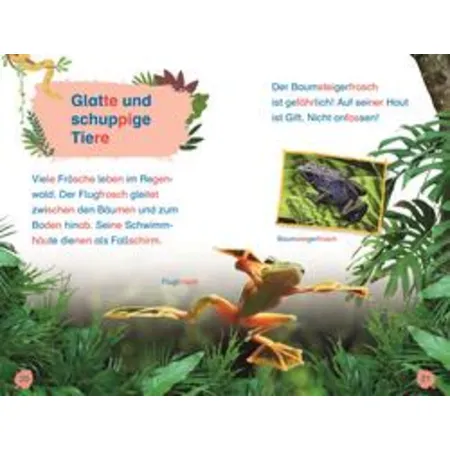 DK Verlag SUPERLESER! Tiere des Regenwalds